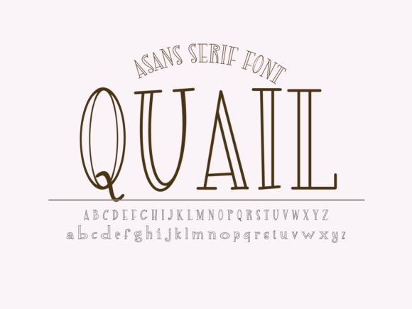 Quail: A Fun and Playful Display Font for Crafters